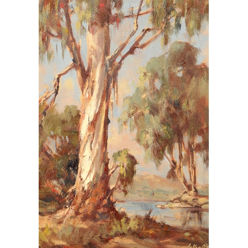 398 - Johan Oldert (South African 1912-1984) ARR Framed oil on board, signed 'Study of Tree in South Afric... 