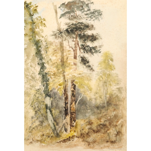 399 - Jessie Keppie (Glasgow Girl 1868-1951) Framed watercolour, signed 'A Wooded Glade' 30.5cm x 23cm Bib... 