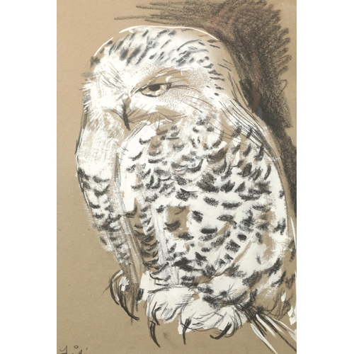 401 - Jack Firth RSW (Scottish 1917-2010) ARR Framed pastel, signed 'Snowy Owl' 36cm x 27cm