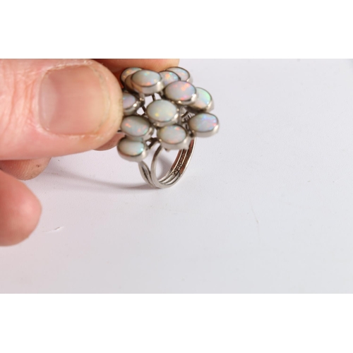 160 - 18ct white gold opal cluster ring set with fifteen opals, 10.9g.