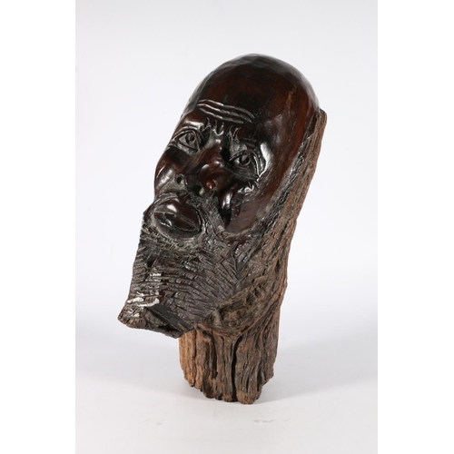 304 - Large hardwood trunk section African carving of a male bust, 47cm tall.