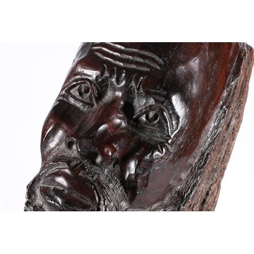 304 - Large hardwood trunk section African carving of a male bust, 47cm tall.