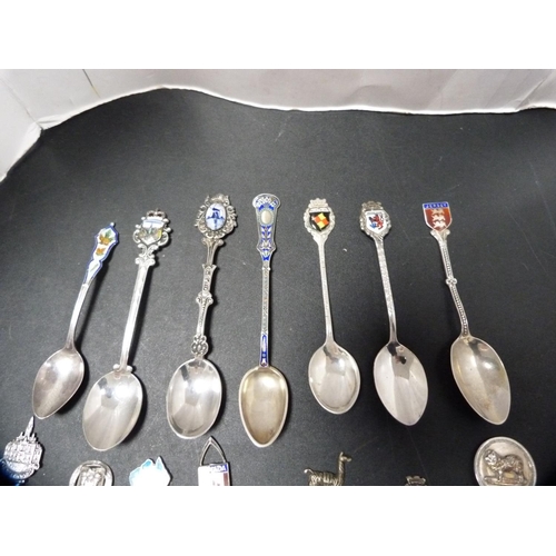 171 - Collection of assorted silver souvenir spoons, some enamelled, approximately 150g.