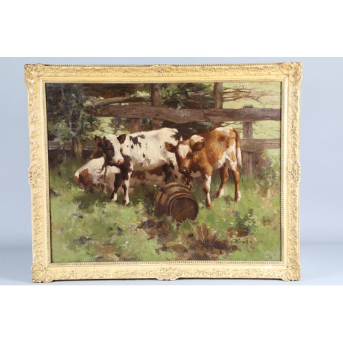 366 - David Gauld RSA (Scottish 1865-1936) Framed oil on canvas, signed 'Three Ayrshire Calves' 70cm x 90c... 