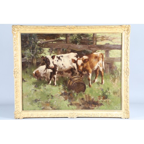 366 - David Gauld RSA (Scottish 1865-1936) Framed oil on canvas, signed 'Three Ayrshire Calves' 70cm x 90c... 