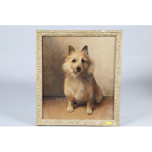 373 - Sam Fulton (Scottish 1855-1943) Framed oil on board, signed, label verso 'Portrait of a Terrier' 41c... 