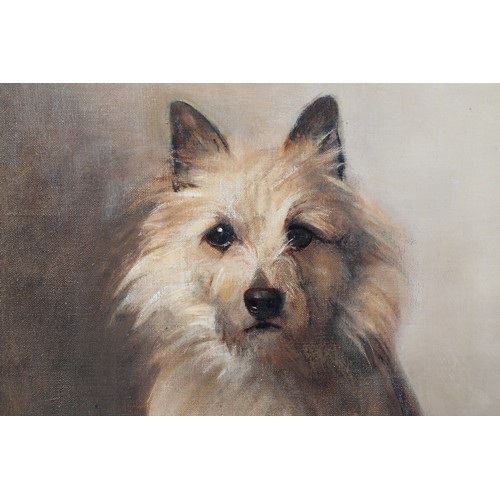 373 - Sam Fulton (Scottish 1855-1943) Framed oil on board, signed, label verso 'Portrait of a Terrier' 41c... 