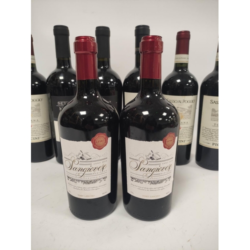 203 - Eight bottles of Italian red wine to include three bottles of Sasso al Poggio Toscana 2007, 75cl, 14... 