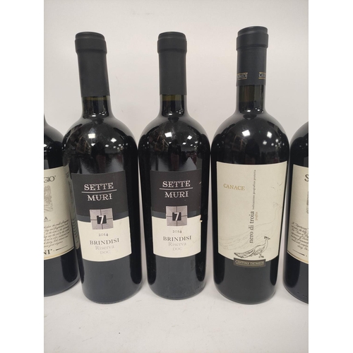 203 - Eight bottles of Italian red wine to include three bottles of Sasso al Poggio Toscana 2007, 75cl, 14... 