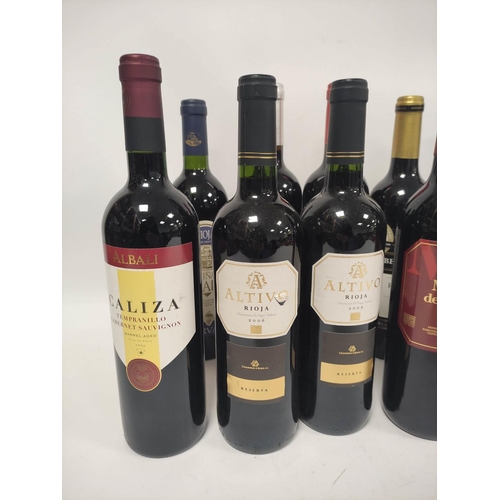 205 - Twelve bottles of red wine, mainly Spanish, to include Vina Izadi Rioja Reserva 1997, 75cl, 13.5%vol... 