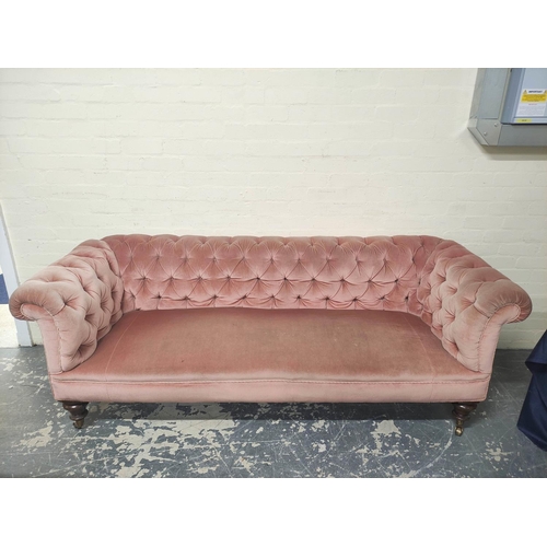 414 - Victorian Chesterfield style sofa upholstered in later pink button back velour, on mahogany turned s... 