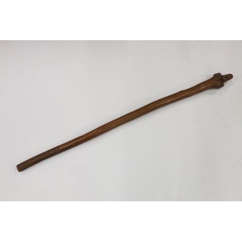 877 - Fijian root wood pole club of Vanikau or Waka Melanesia type with tavatava carved grip, 110cm long.