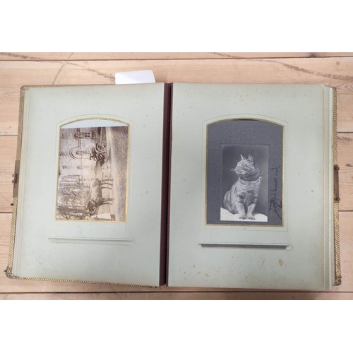 19 - Photographs. Portraits. Well worn Victorian album with litho. dec. card leaves, part filled with app... 