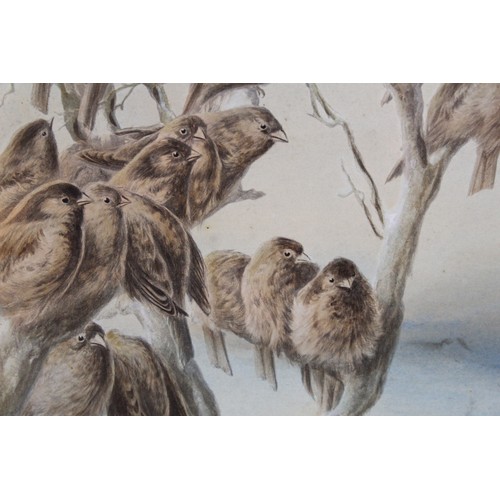 384A - 'The Favourite Of The Season' - Sparrows and a robin in a winter landscape, an overpainted print aft... 