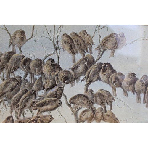 384A - 'The Favourite Of The Season' - Sparrows and a robin in a winter landscape, an overpainted print aft... 