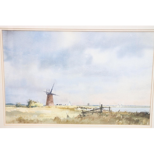 127 - DENNIS PANNETT (British b1939), Windmills on the Bure, watercolour, signed lower left, 34cm x 54cm, ... 