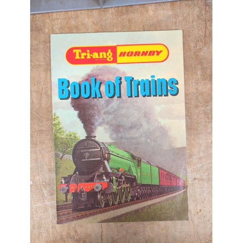 245 - Railways & Model Railways. A carton of various vols. mainly model railway reference.... 