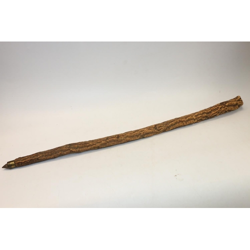100W - Spanish cork walking stick.