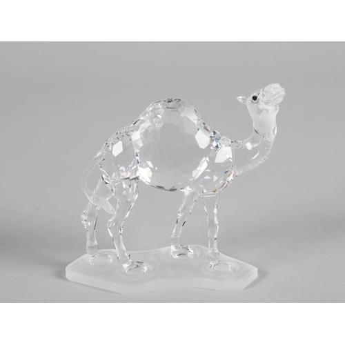 24 - Swarovski crystal model of a standing Camel; 10cm high