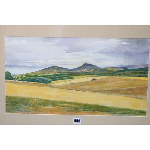 559 - W EDMOND, pastoral landscape, watercolour, signed and dated '96 lower left, 29cm x 53cm and another.... 