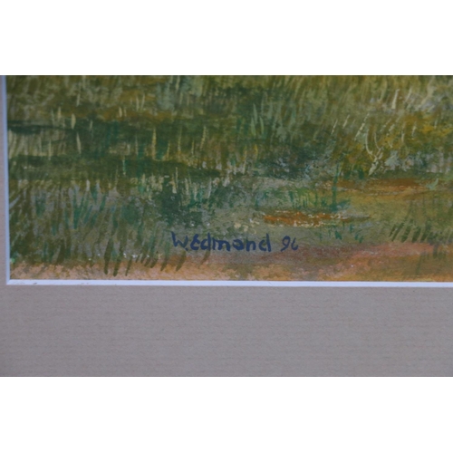 559 - W EDMOND, pastoral landscape, watercolour, signed and dated '96 lower left, 29cm x 53cm and another.... 