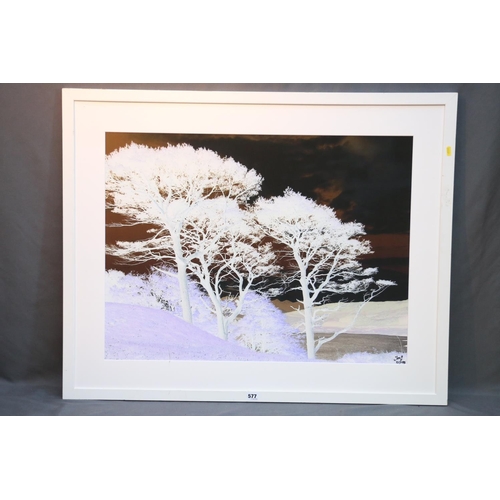 577 - Large photographic print of trees in a landscape, signed 'Jon' lower right, 21/195, 59cm x 79cm, fra... 