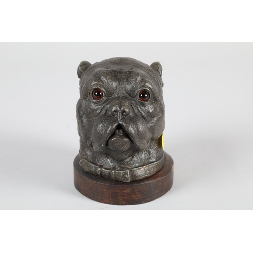 36 - Painted spelter novelty single bottle in the form of Bulldogs head; 10cm high