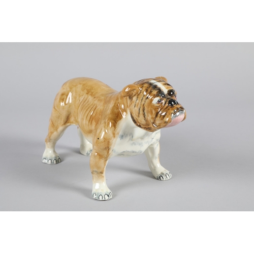 46 - Painted porcelain model of a standing bulldog; 15cm high