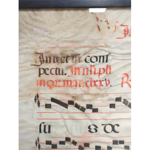 230 - Medieval / Renaissance. Framed antiphonal Gregorian chant sheet music with illuminated latin text an... 