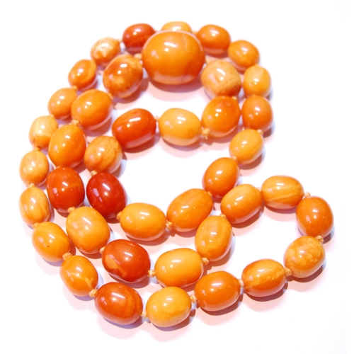 75 - Amber necklace of ovoid beads, 153g.