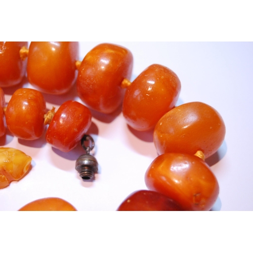 76 - Amber bead necklace of variegated circular beads, 146g.