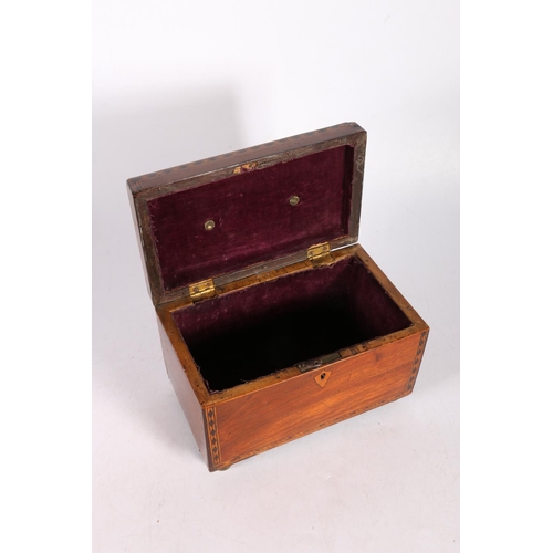 4 - Mahogany Tunbridge ware box raised on bun feet, 19cm.