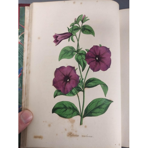 50 - PAXTON JOSEPH.  Paxton's Magazine of Botany. Vols. 1 to 4. 151 hand col. plates plus text illus. Sma... 