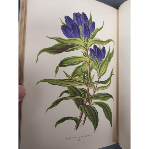 56 - WOOSTER DAVID.  Alpine Plants. 2 vols. (First & Second Series). Many good col. plates.... 