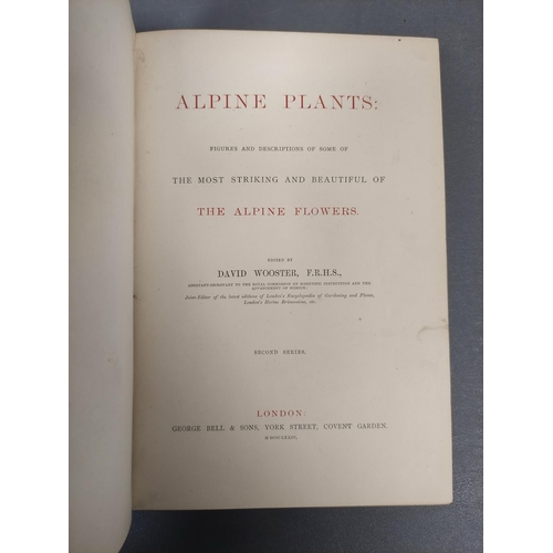 56 - WOOSTER DAVID.  Alpine Plants. 2 vols. (First & Second Series). Many good col. plates.... 