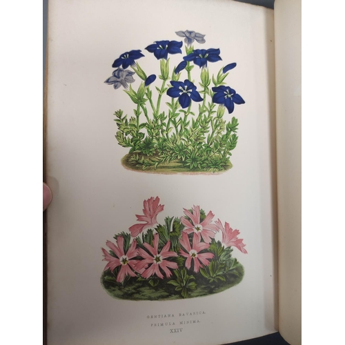 56 - WOOSTER DAVID.  Alpine Plants. 2 vols. (First & Second Series). Many good col. plates.... 