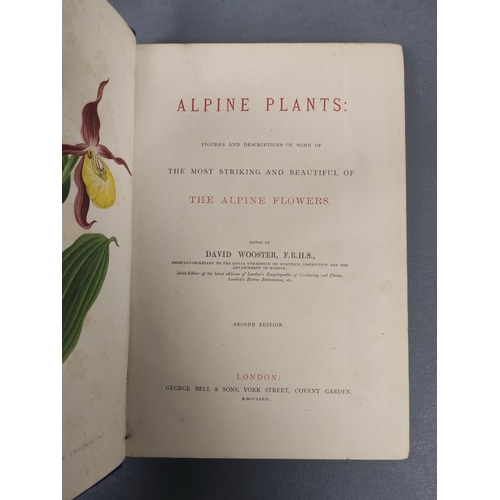 56 - WOOSTER DAVID.  Alpine Plants. 2 vols. (First & Second Series). Many good col. plates.... 