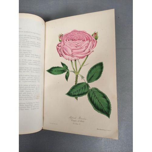 57 - PAUL WILLIAM, of Cheshunt.  The Rose Garden. Col. & other illus. & text vignettes.... 