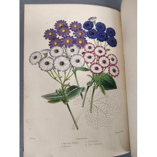 58 - AYRES W. P. & MOORE T.  The Florist's Guide & Gardeners' & Naturalists' Calendar. 8 col.... 