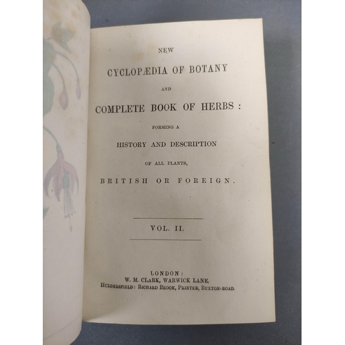 59 - CLARK W. M. & BROOK R. (Pubs).  The Cyclopaedia of Botany or A Correct History & D... 