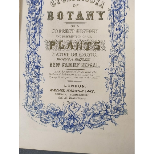 59 - CLARK W. M. & BROOK R. (Pubs).  The Cyclopaedia of Botany or A Correct History & D... 