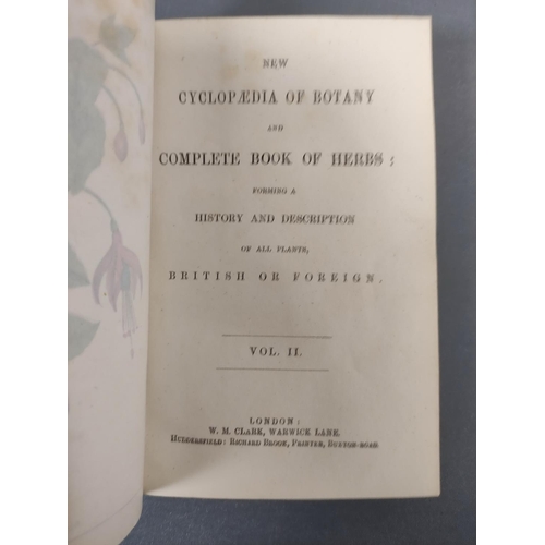 59 - CLARK W. M. & BROOK R. (Pubs).  The Cyclopaedia of Botany or A Correct History & D... 