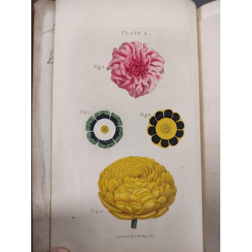 60 - MADDOCK JAMES.  The Florist's Directory, A Treatise on the Culture of Flowers (ed. by Samuel Curtis)... 