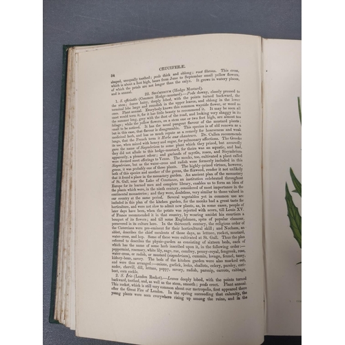 61 - PRATT ANNE.  The Flowering Plants, Grasses, Sedges & Ferns of Great Britain. 4 vols. M... 