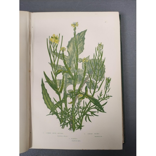 61 - PRATT ANNE.  The Flowering Plants, Grasses, Sedges & Ferns of Great Britain. 4 vols. M... 