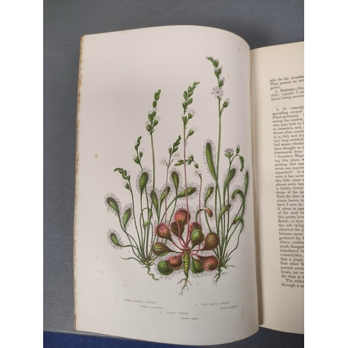 61 - PRATT ANNE.  The Flowering Plants, Grasses, Sedges & Ferns of Great Britain. 4 vols. M... 