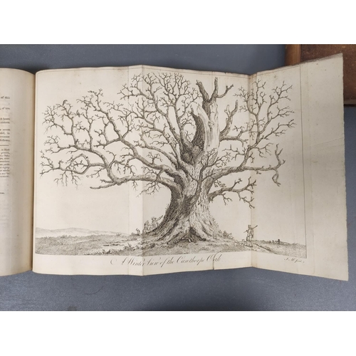 63 - EVELYN JOHN.  Silva or A Discourse of Forest-Trees & the Propagation of Timber. 2 vols... 