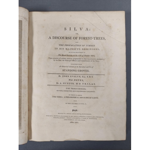 63 - EVELYN JOHN.  Silva or A Discourse of Forest-Trees & the Propagation of Timber. 2 vols... 