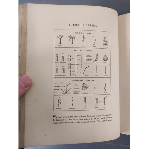 66 - WITHERING WILLIAM.  A Systematic Arrangement of British Plants. 4 vols. Fldg. & other ... 