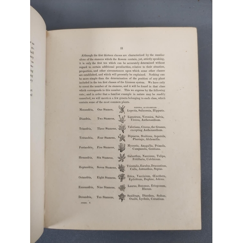 66 - WITHERING WILLIAM.  A Systematic Arrangement of British Plants. 4 vols. Fldg. & other ... 